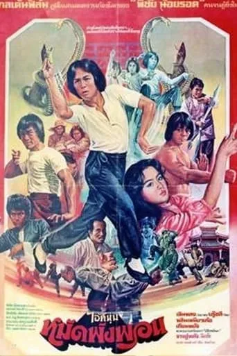 Fearless Master movie poster - Entertainment content