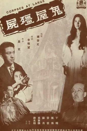 Zombie in a Haunted House movie poster - Entertainment content
