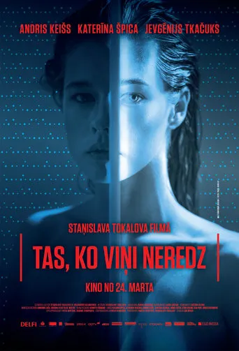 What Nobody Can See movie poster - Rated 4.3/10