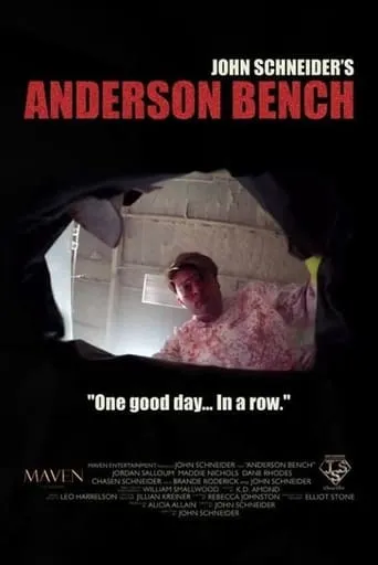 Anderson Bench movie poster - Rated 7/10