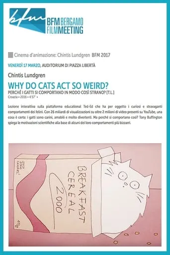 Why Do Cats Act So Weird? movie poster - Entertainment content