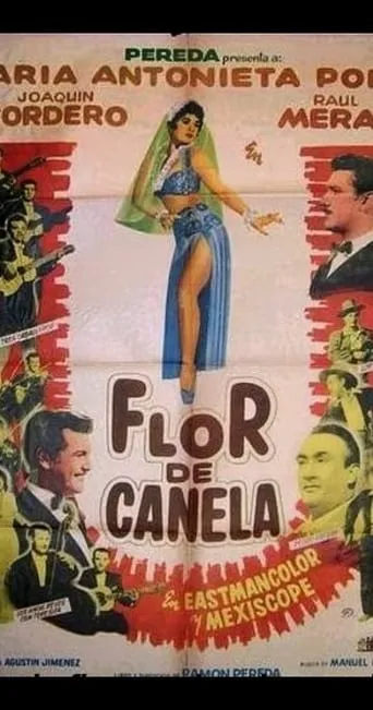 Flor de canela movie poster - Rated 5/10