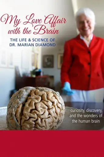 My Love Affair with the Brain movie poster - Entertainment content