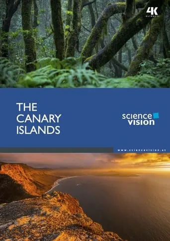 The Canary Islands movie poster - Rated 9/10