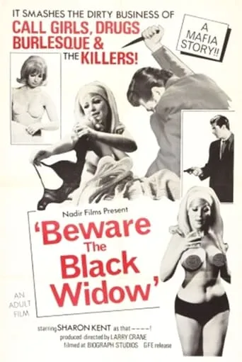 Beware the Black Widow movie poster - Rated 4.1/10