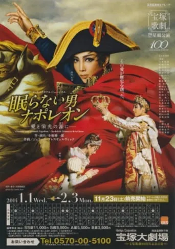 Napoléon, the Man Who Never Sleeps ~At the End of His Love and Glory~ movie poster - Entertainment content