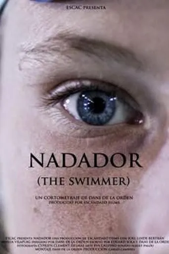 The Swimmer movie poster - Rated 6.4/10
