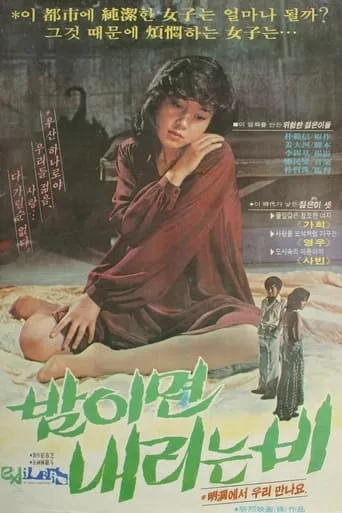 The Rain at Night movie poster - Entertainment content