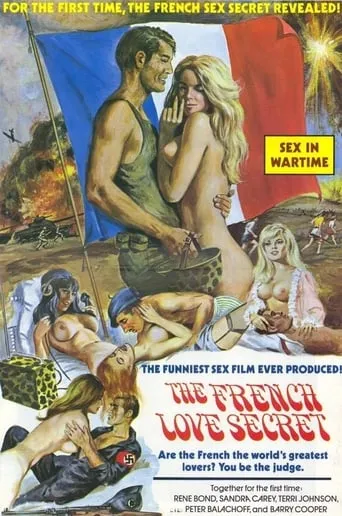 The French Love Secret movie poster - Entertainment content