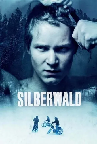 Silver Forest movie poster - Rated 7/10