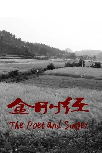 The Poet and Singer movie poster - Rated 6.8/10