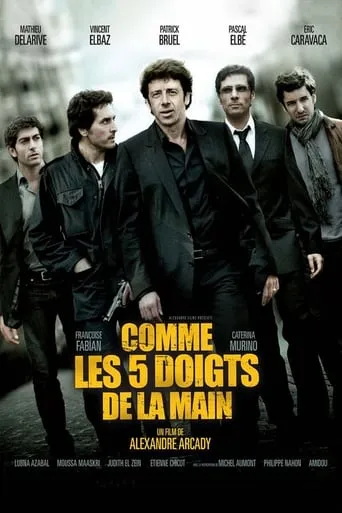 Comme les 5 doigts de la main movie poster - Rated 6.187/10