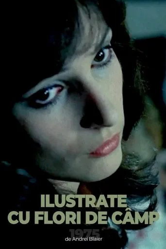 Postcards with Wildflowers movie poster - Rated 7/10