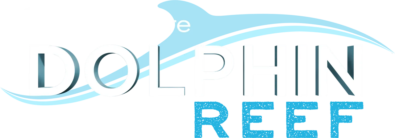 Dolphin Reef