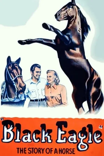 Black Eagle movie poster - Rated 6/10