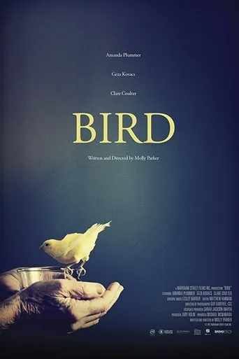 Bird movie poster - Entertainment content