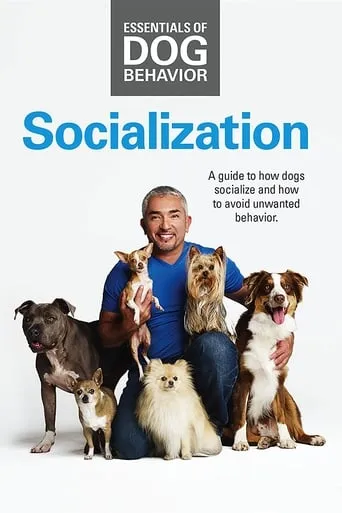 Essentials of Dog Behavior: Socialization movie poster - Entertainment content