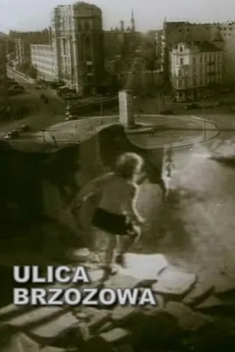 Brzozowa Street movie poster - Rated 5.3/10