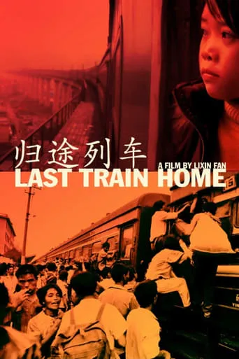 Last Train Home movie poster - Rated 7.4/10