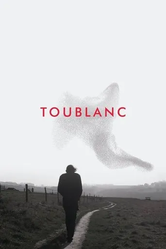 Toublanc movie poster - Rated 5.7/10