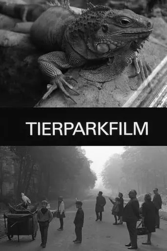 Zoo Film movie poster - Entertainment content