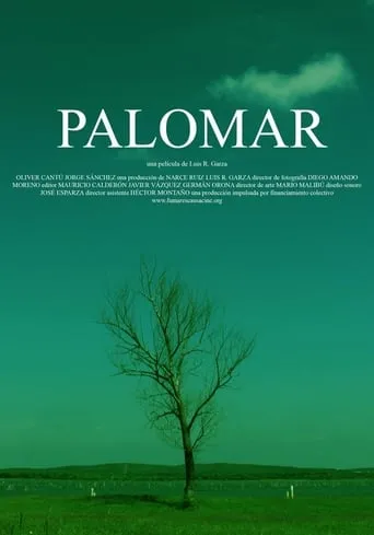 Palomar movie poster - Rated 5/10
