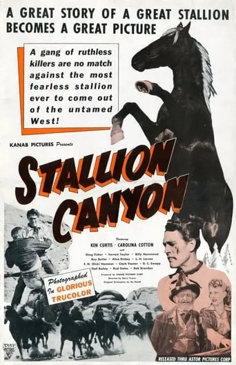 Stallion Canyon movie poster - Entertainment content
