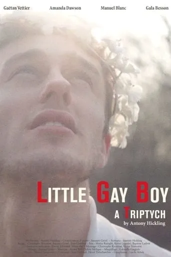 Little Gay Boy movie poster - Rated 5.2/10