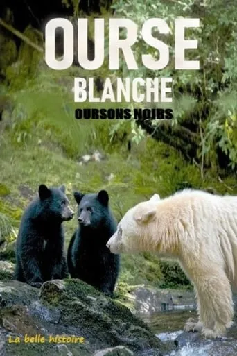 Ourse blanche, oursons noirs : la belle histoire movie poster - Rated 9/10