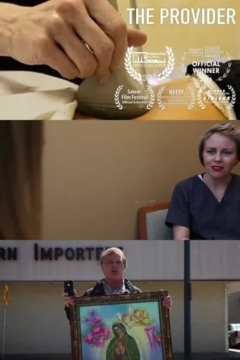 The Provider movie poster - Rated 5/10