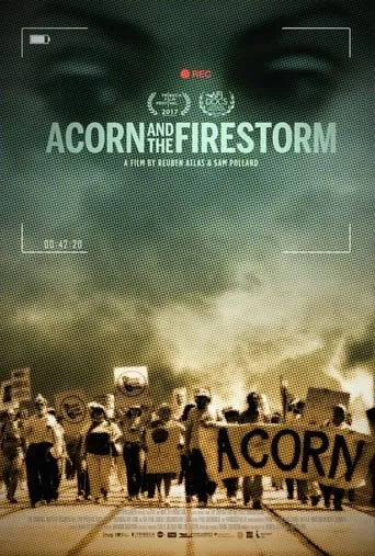 Acorn and the Firestorm movie poster - Rated 5/10