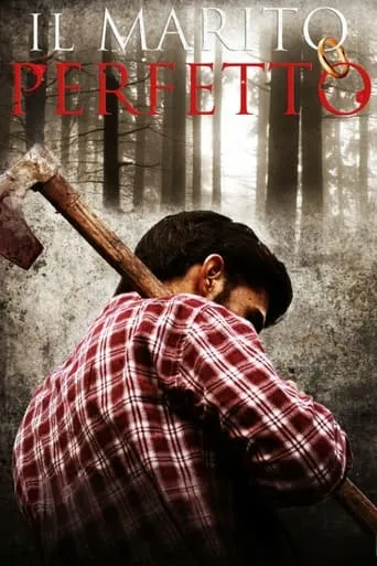 The Perfect Marriage movie poster - Rated 6/10