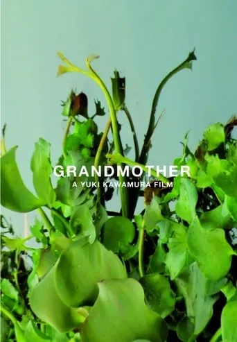 Grandmother movie poster - Rated 6/10