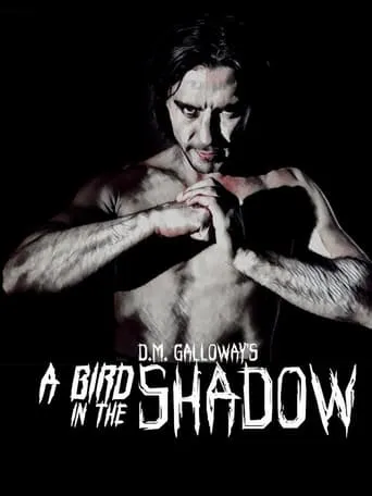 A Bird In The Shadow movie poster - Entertainment content