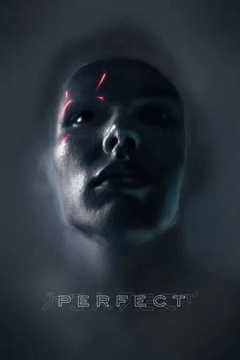 Perfect movie poster - Rated 4.3/10