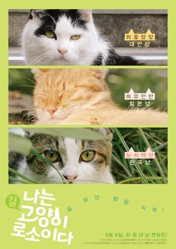 I am a Cat movie poster - Rated 6/10