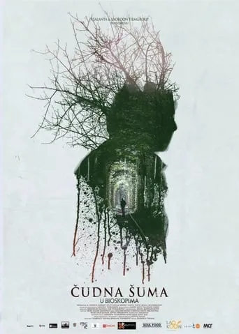 Strange Forest movie poster - Entertainment content
