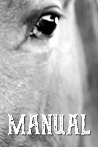 Manual movie poster - Entertainment content