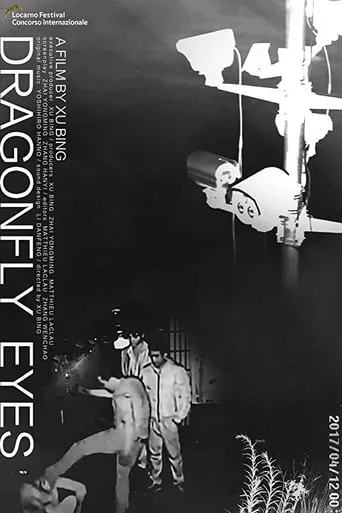 Dragonfly Eyes movie poster - Rated 7.4/10