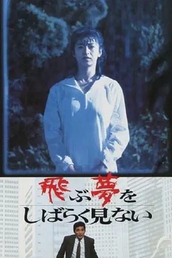 A Paucity of Flying Dreams movie poster - Rated 2/10
