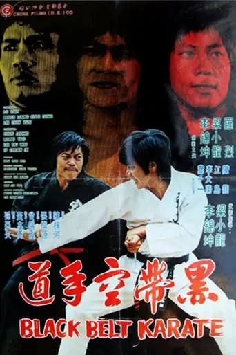 Black Belt Karate movie poster - Entertainment content