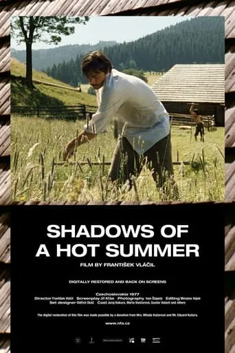 Shadows of a Hot Summer movie poster - Rated 6.9/10