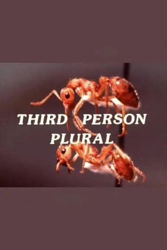 Third Person Plural movie poster - Entertainment content