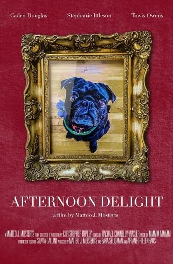 Afternoon Delight. movie poster - Entertainment content