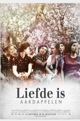 Love Is Potatoes movie poster - Rated 6.5/10