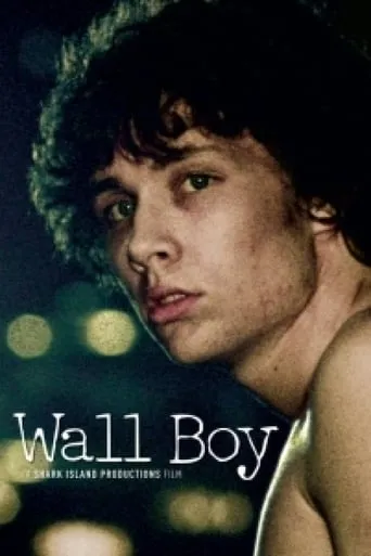 Wall Boy movie poster - Rated 5/10