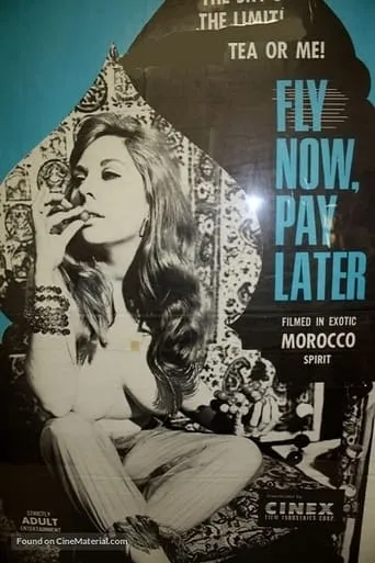 Fly Now, Pay Later movie poster - Rated 4/10