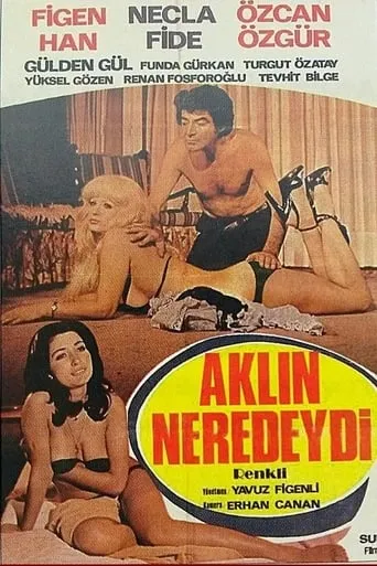 Aklın Neredeydi movie poster - Entertainment content
