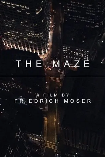 The Maze movie poster - Rated 8.5/10