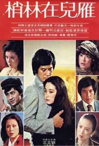The Wild Goose on the Wing movie poster - Entertainment content